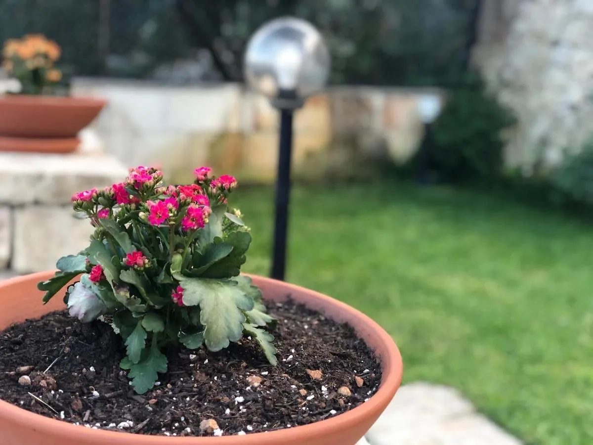Villetta Greta Villa Avola Holiday home